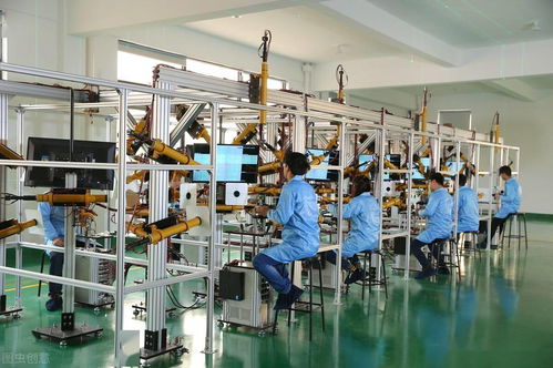 農村小伙月薪7000元在深圳的抉擇 堅持信息安全開發還是返鄉養豬